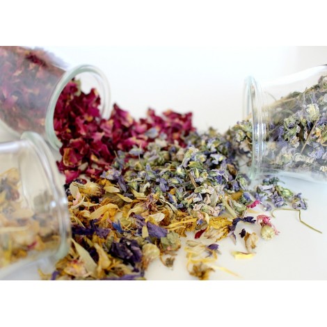 CONSULTA DE NATUROPATIA -...