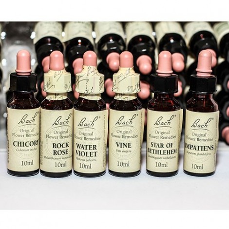 CONSULTA FLORES DE BACH -...